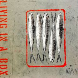 fish_0113