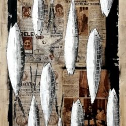 fish_0104
