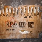 fish_0010