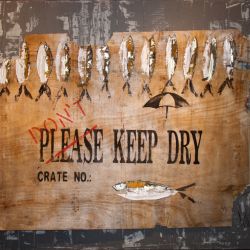 fish_0010