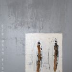 fish_0011