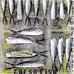 fish_0024