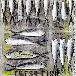 fish_0024