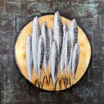 fish_0082