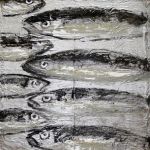 fish_0017