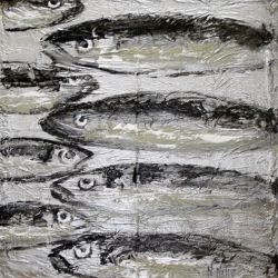 fish_0017