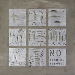 fish_0016
