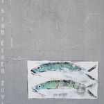 fish_0015