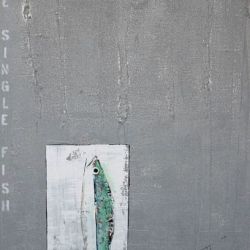 fish_0008